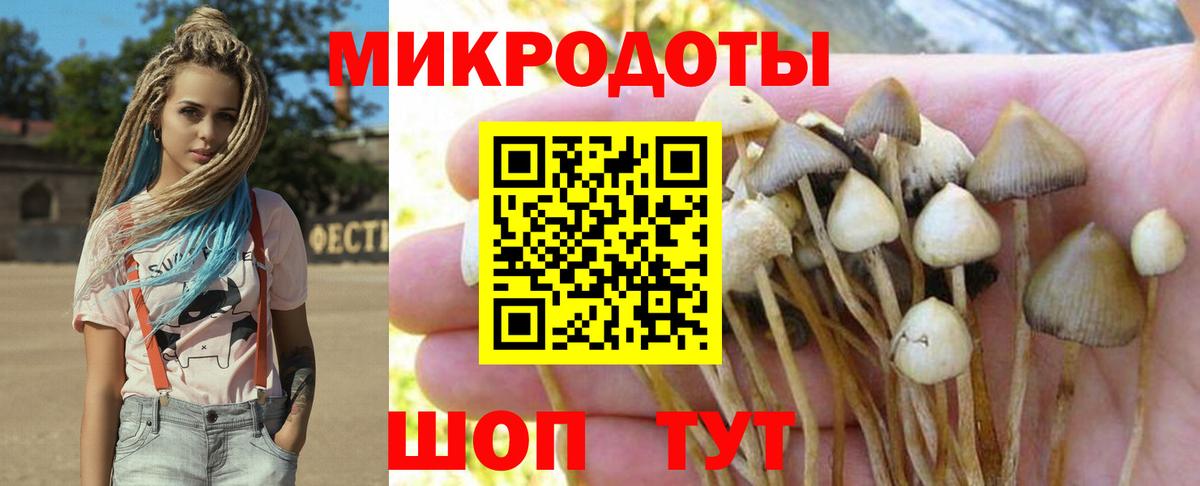 Псилоцибиновые грибы Psilocybine cubensis Арсеньев