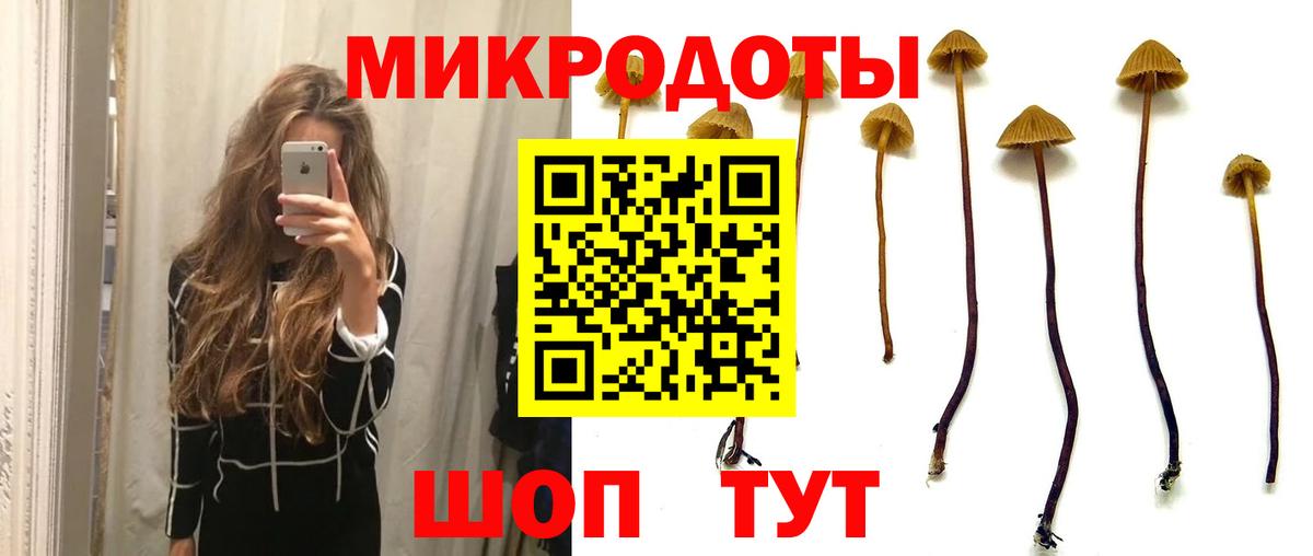 Галлюциногенные грибы GOLDEN TEACHER  Вход с VPN  Арсеньев 